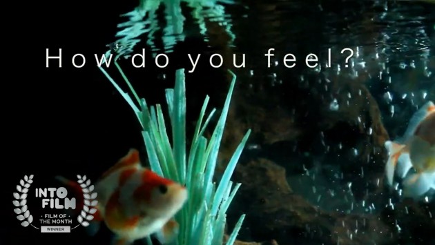 How Do You Feel? - Film of the Month winner