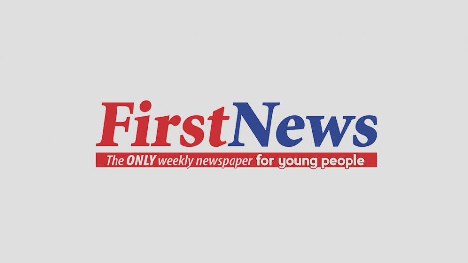 First News logo