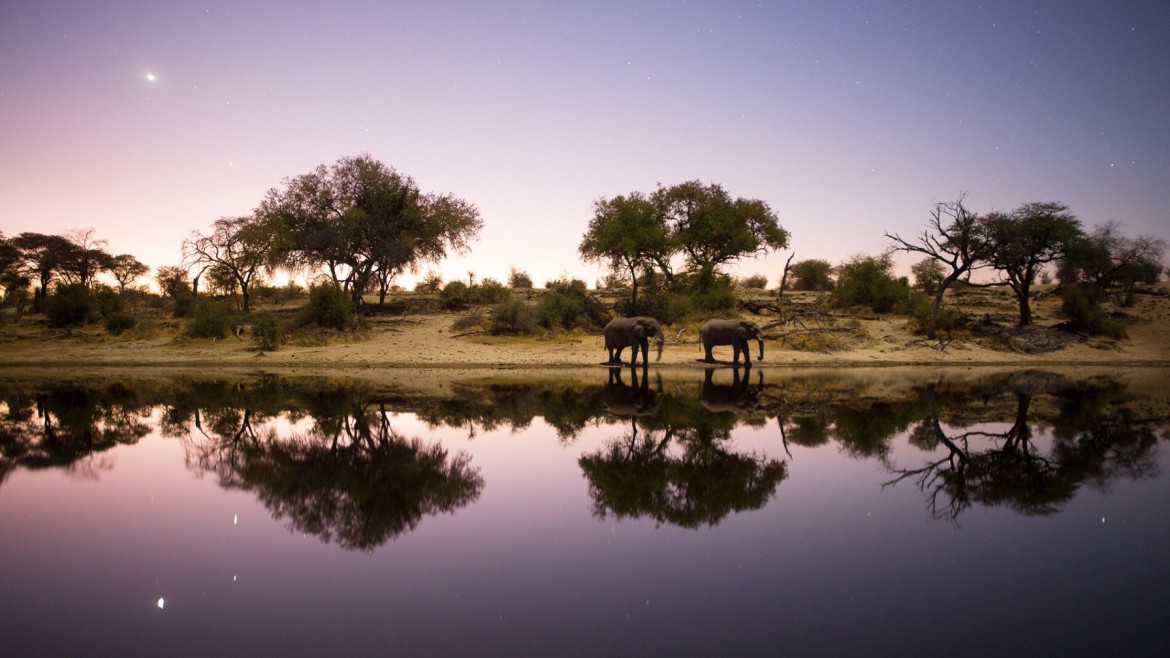 Into the Okavango © NATIONAL GEOGRAPHIC ALL RIGHTS RESERVED