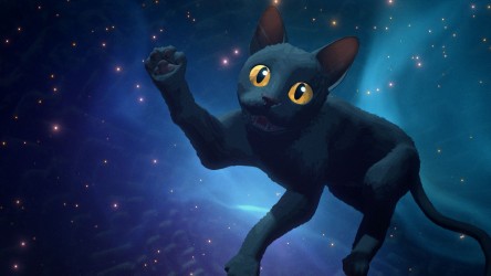 A black cat floating in space