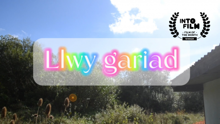 FOTM header