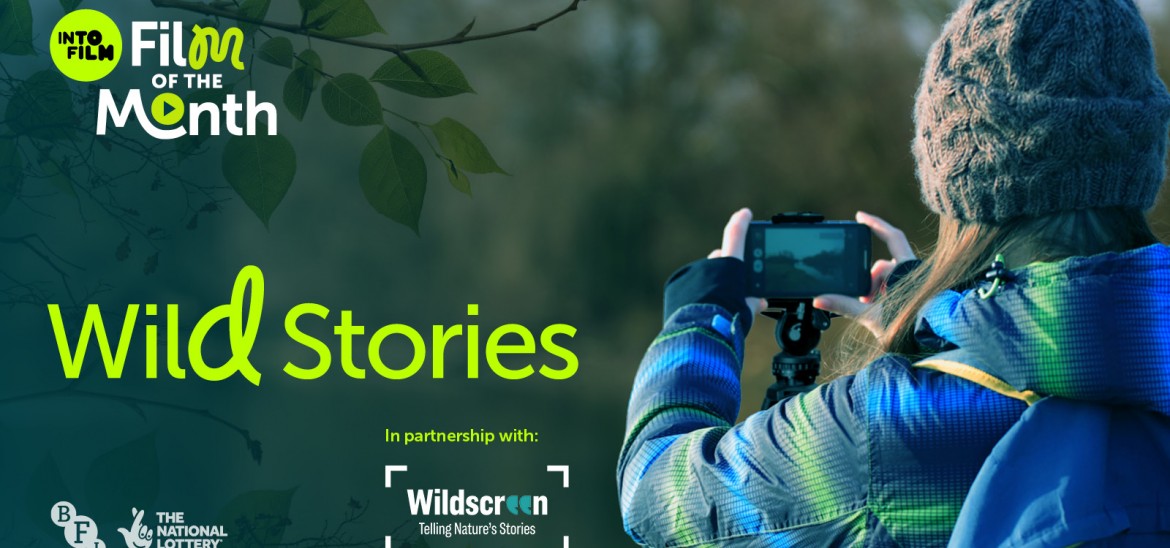 updated banner image for fotm wild stories competition