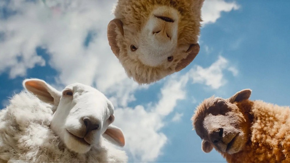 Three sheep look down at the camera against a blue sky with clouds.