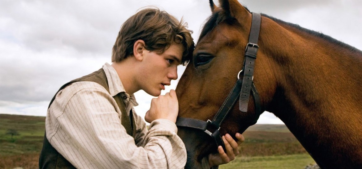 War Horse 