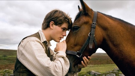 War Horse 