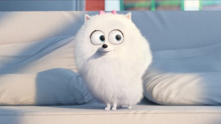 The Secret Life of Pets