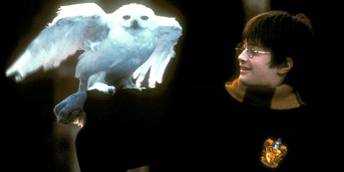 Resource Harry Potter And The Philosopher S Stone Into Film