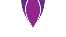 hmdt logo purple flame