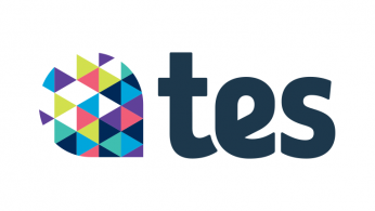 TES Logo Comms Festival Partner