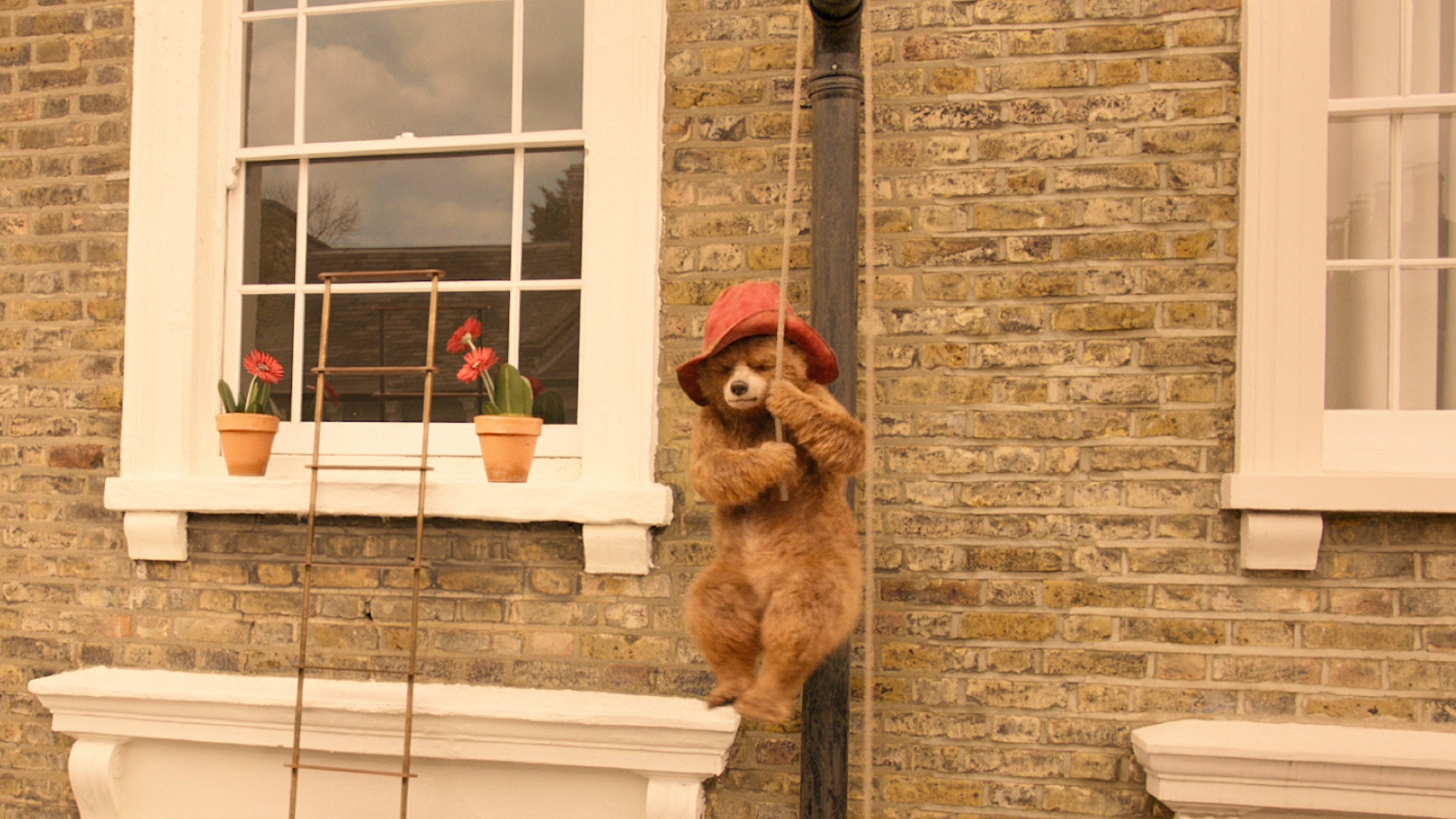 Paddington 2 (hanging around)