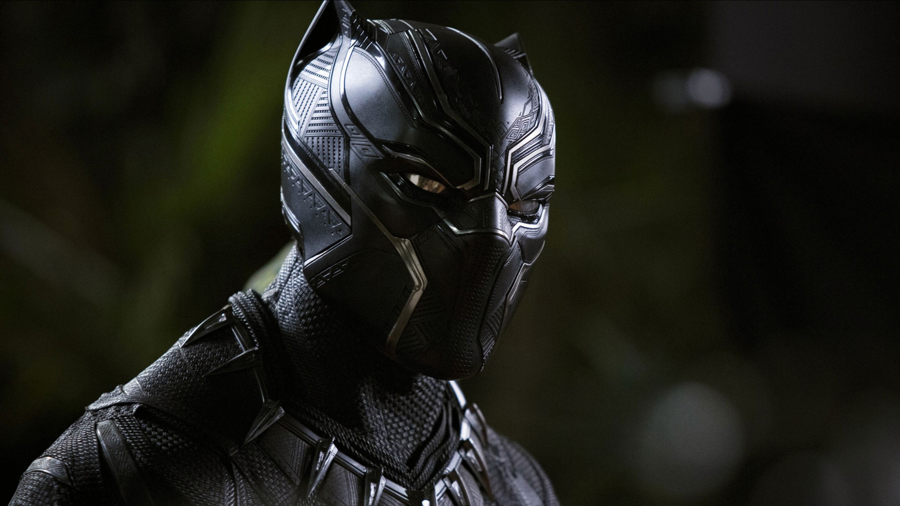 Resource Black Panther Film Guide Into Film