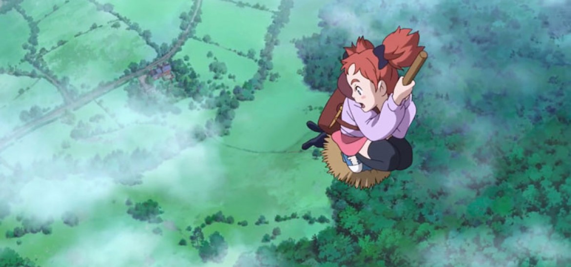 Mary and the Witch's Flower