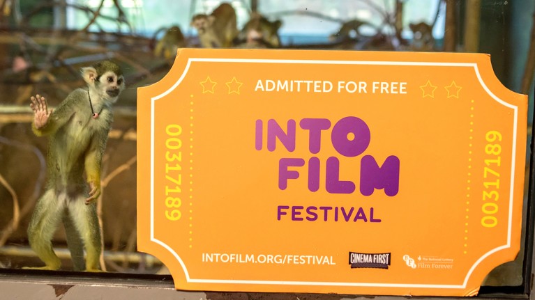 Into Film Festival Event Safety Plan & Risk Assessment 2019