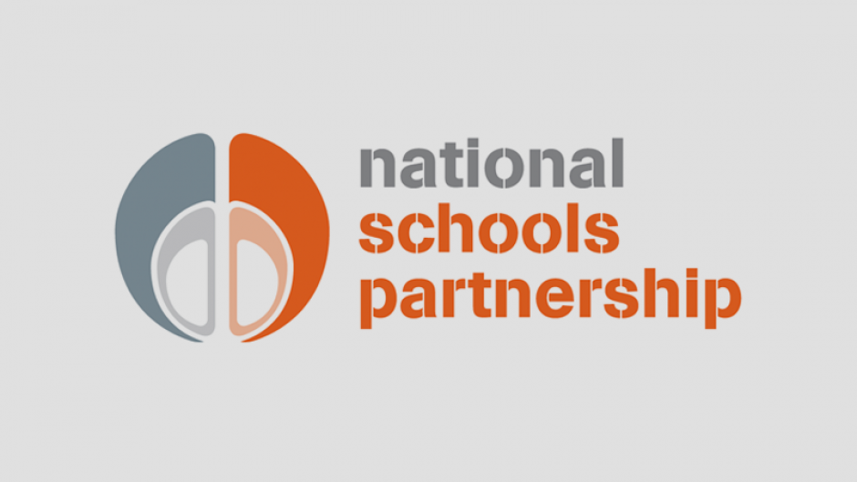 NSP Logo