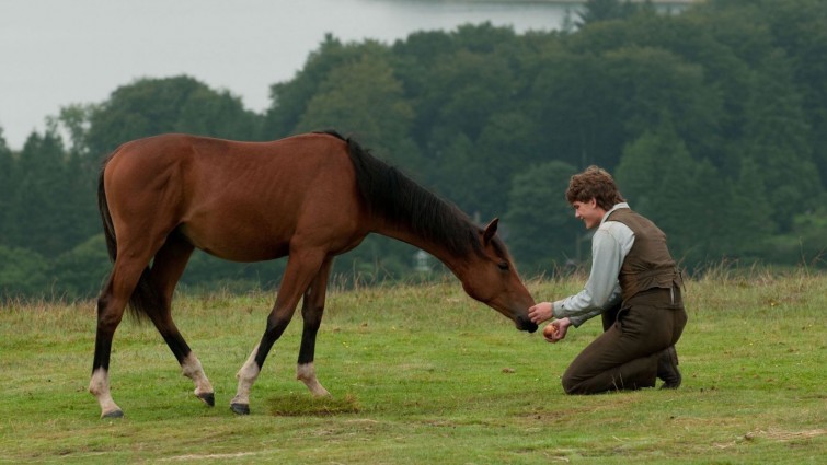 War Horse