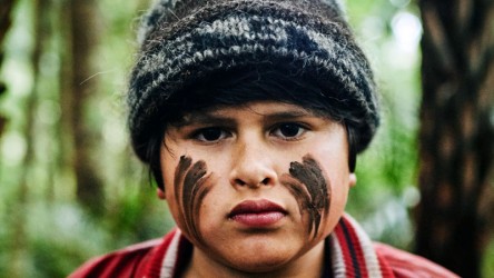 Hunt for the Wilderpeople