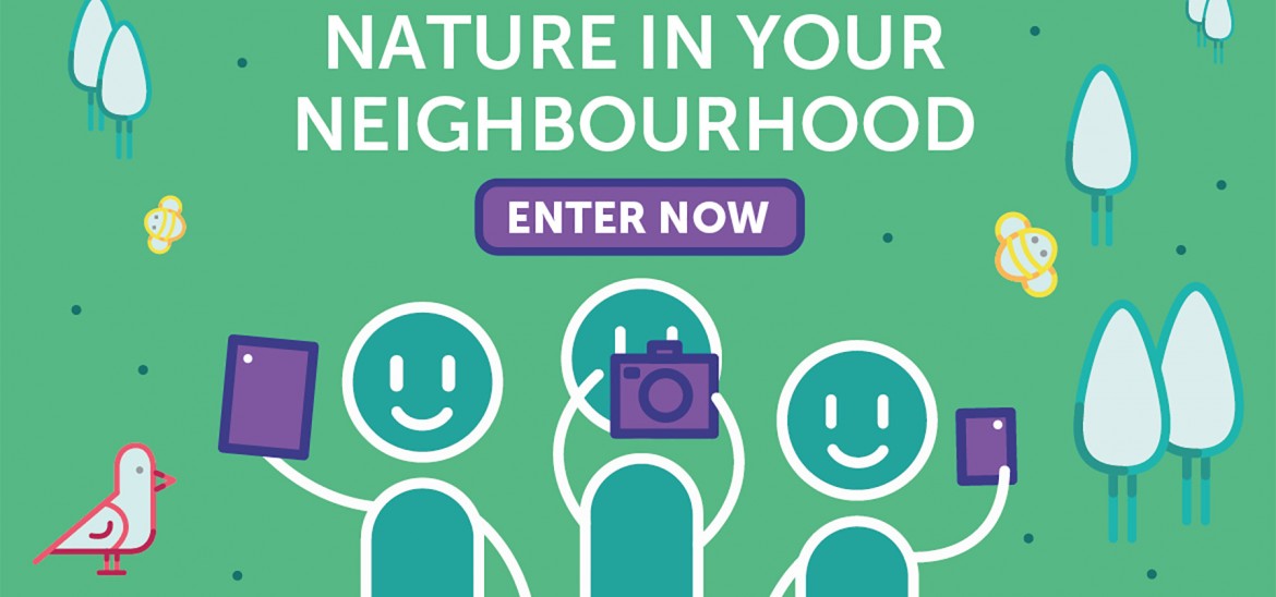 Nature in your Neighbourhood Competition