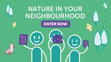 Nature in your Neighbourhood Competition