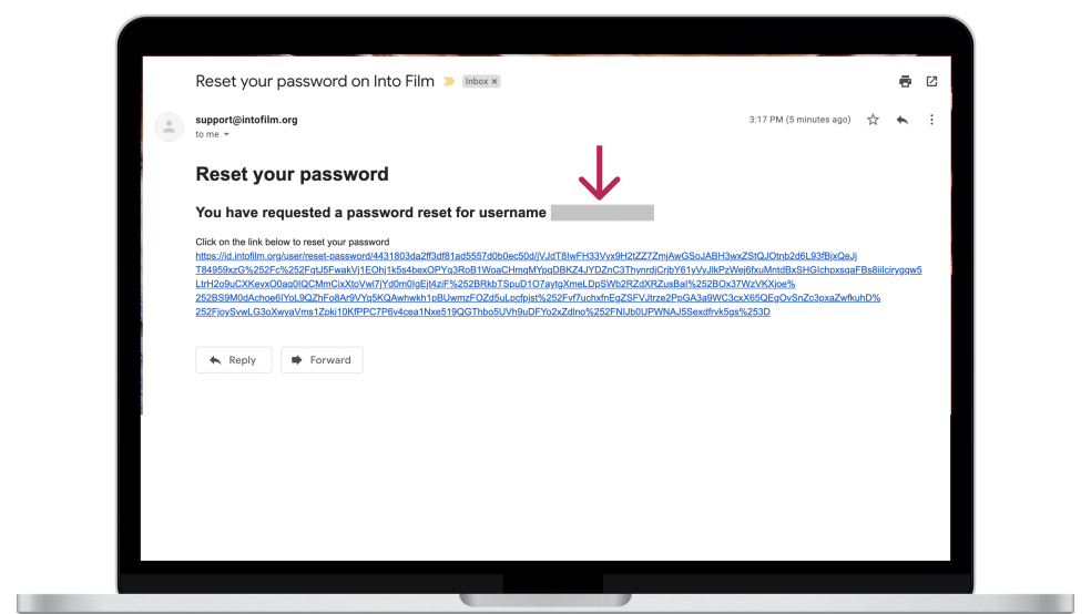 Reset password email link