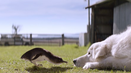 Oddball and the Penguins