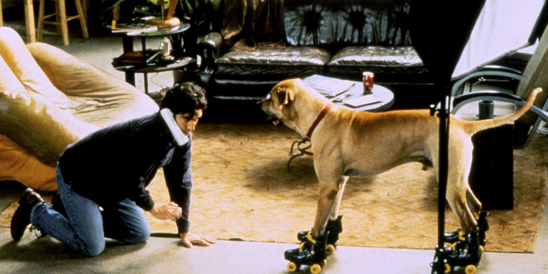 Film The Truth About Cats And Dogs Into Film
