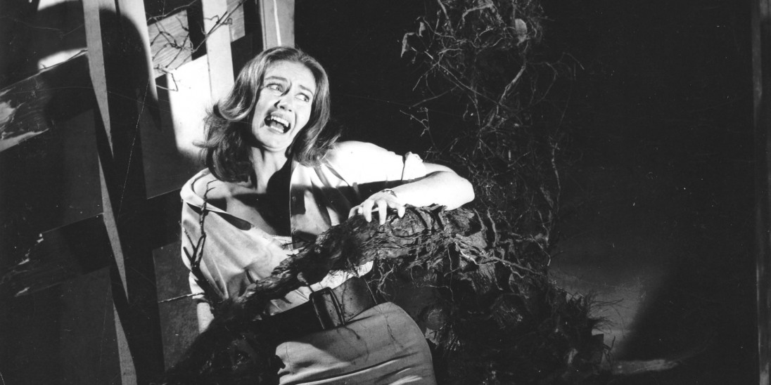 The Day of the Triffids