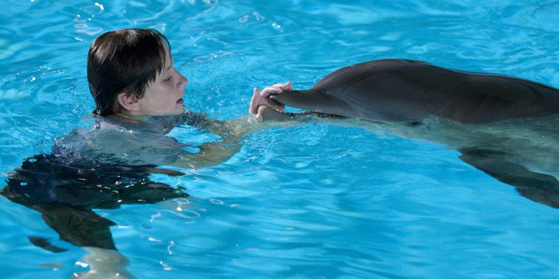 Dolphin Tale