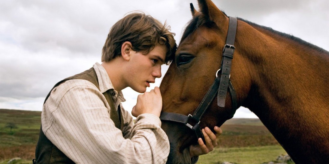 War Horse