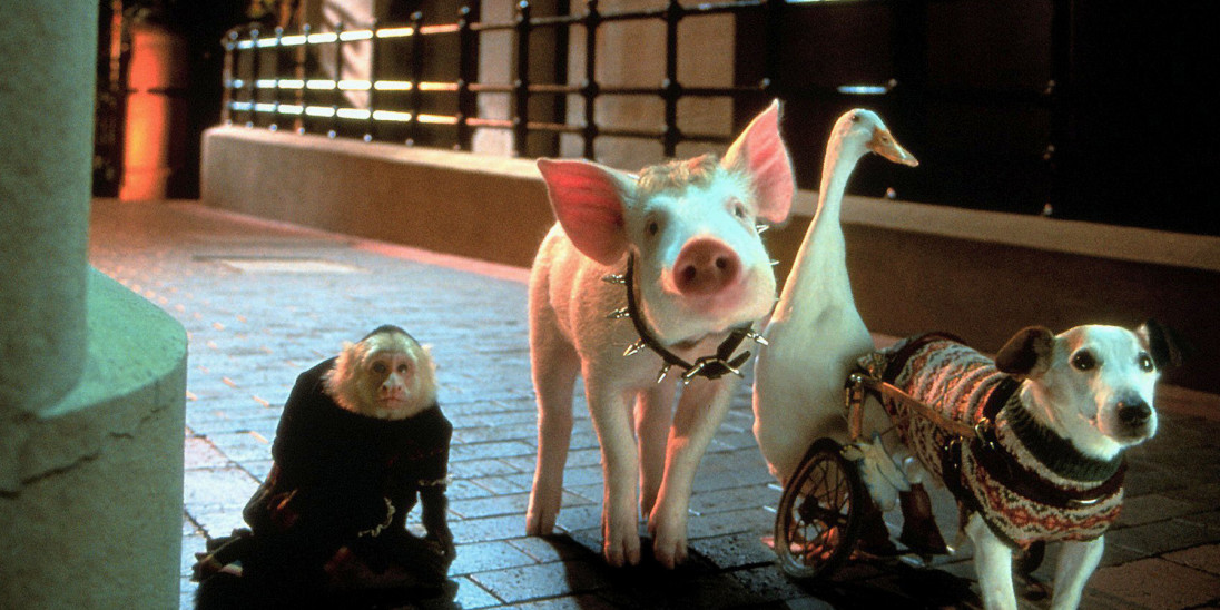 Babe: Pig In The City