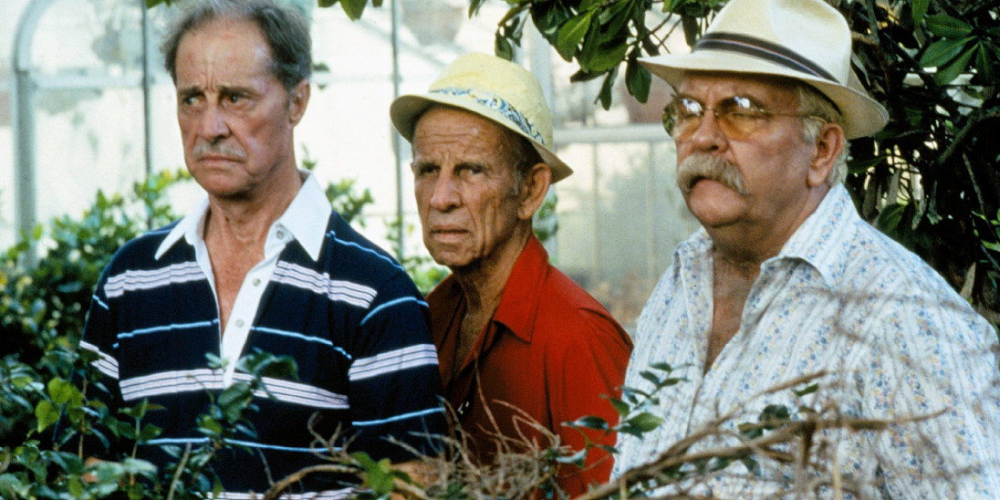 film__2777-cocoon--hi_res-f6f11bc4.jpg