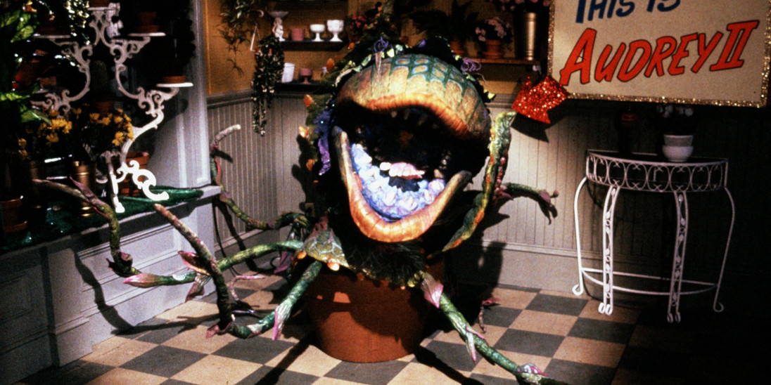 Little Shop of Horrors