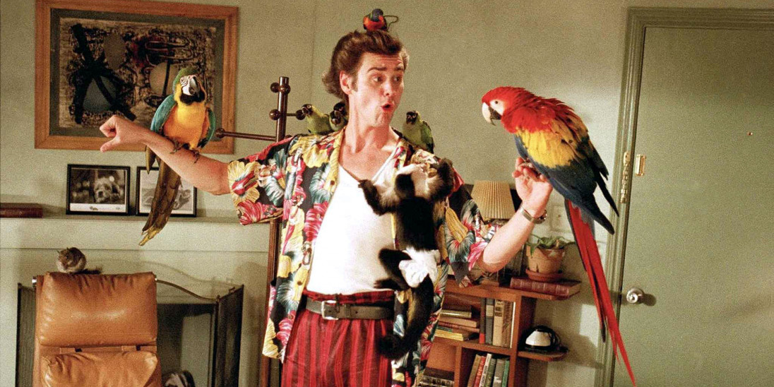 Film - Ace Ventura - Pet Detective - Into Film