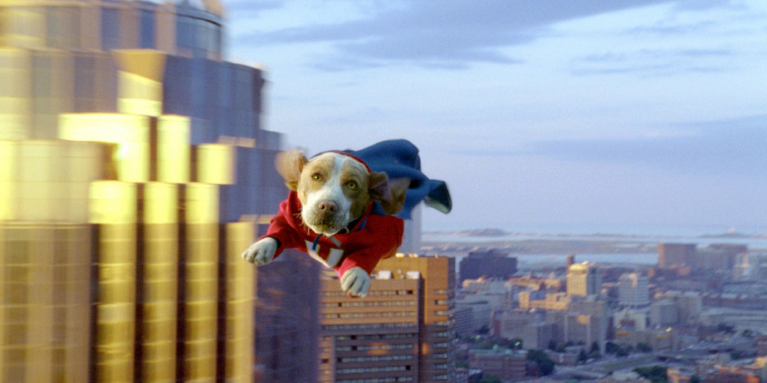 Underdog