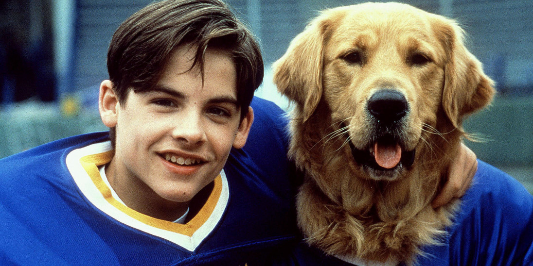 Air Bud - Golden Receiver