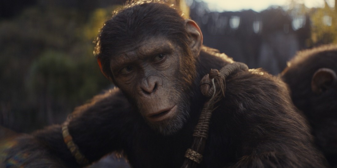 Kingdom of the Planet of the Apes