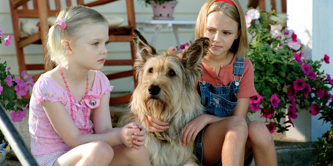 Film Because of Winn Dixie Into Film