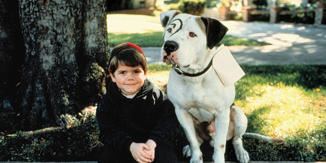 Little rascals dog 2025
