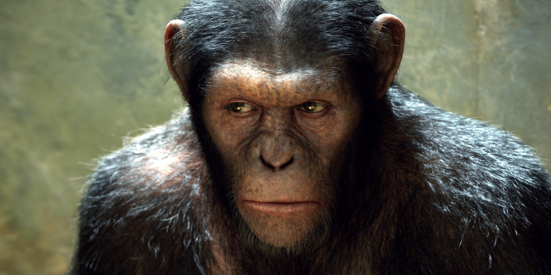 Rise of the planet hot sale of the apes