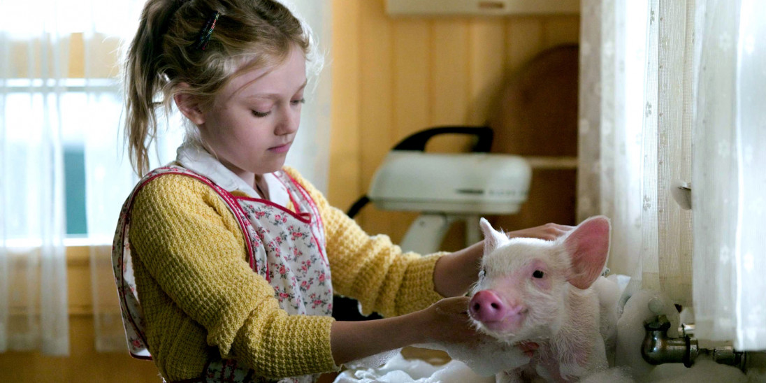 Film Charlotte s Web Into Film