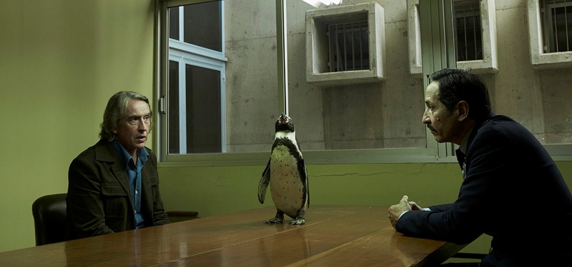 The Penguin Lessons