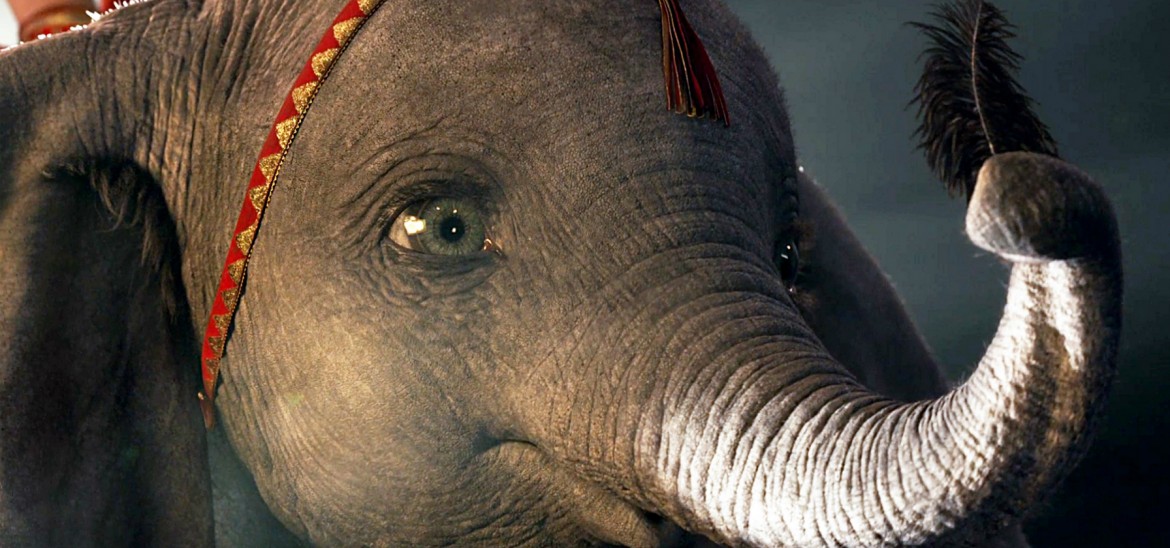 Activities to support engagement, debate and reflection for titles within t