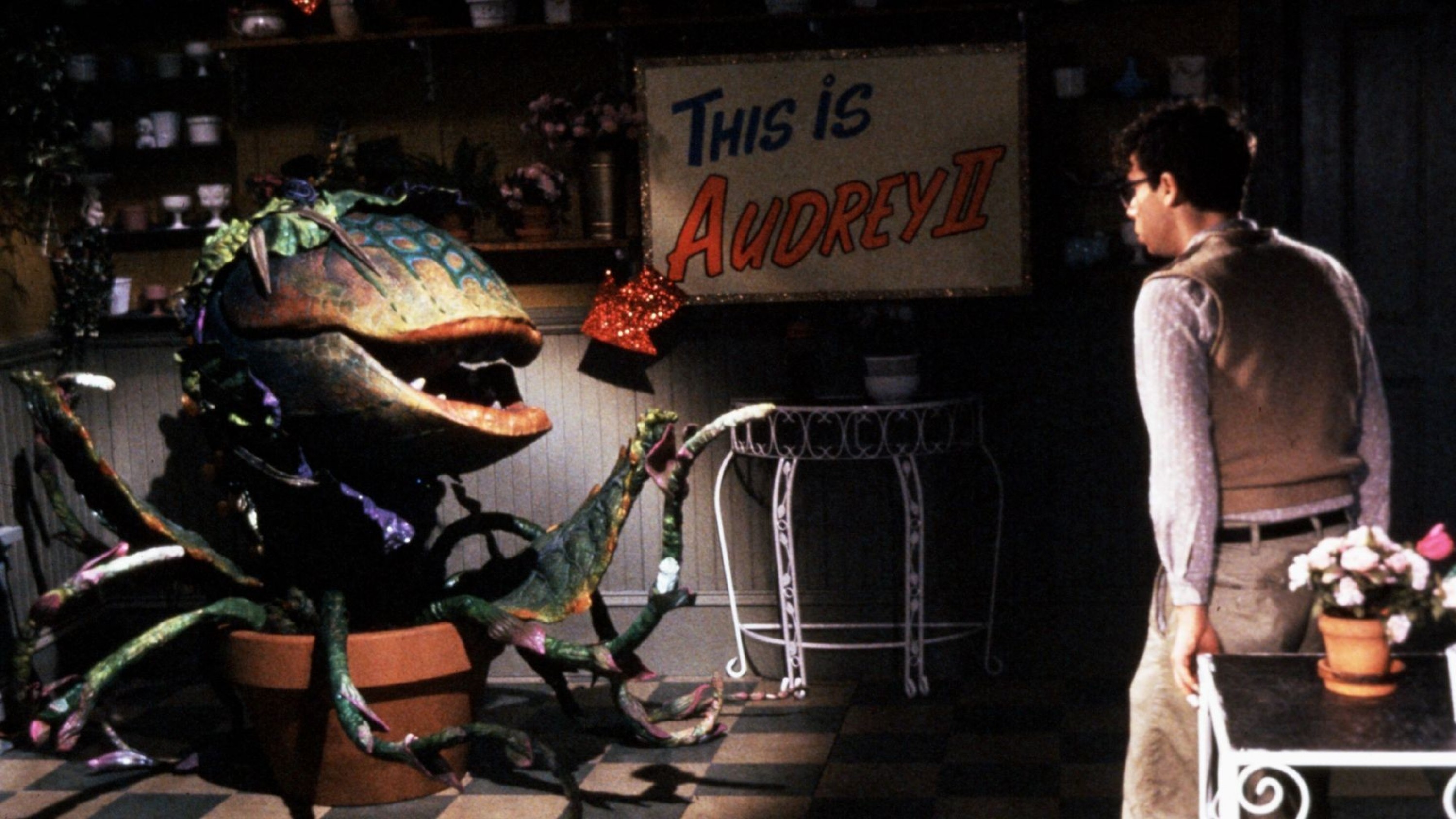 A film guide that uses 'Little Shop of Horrors' (1986) to discuss musicals,