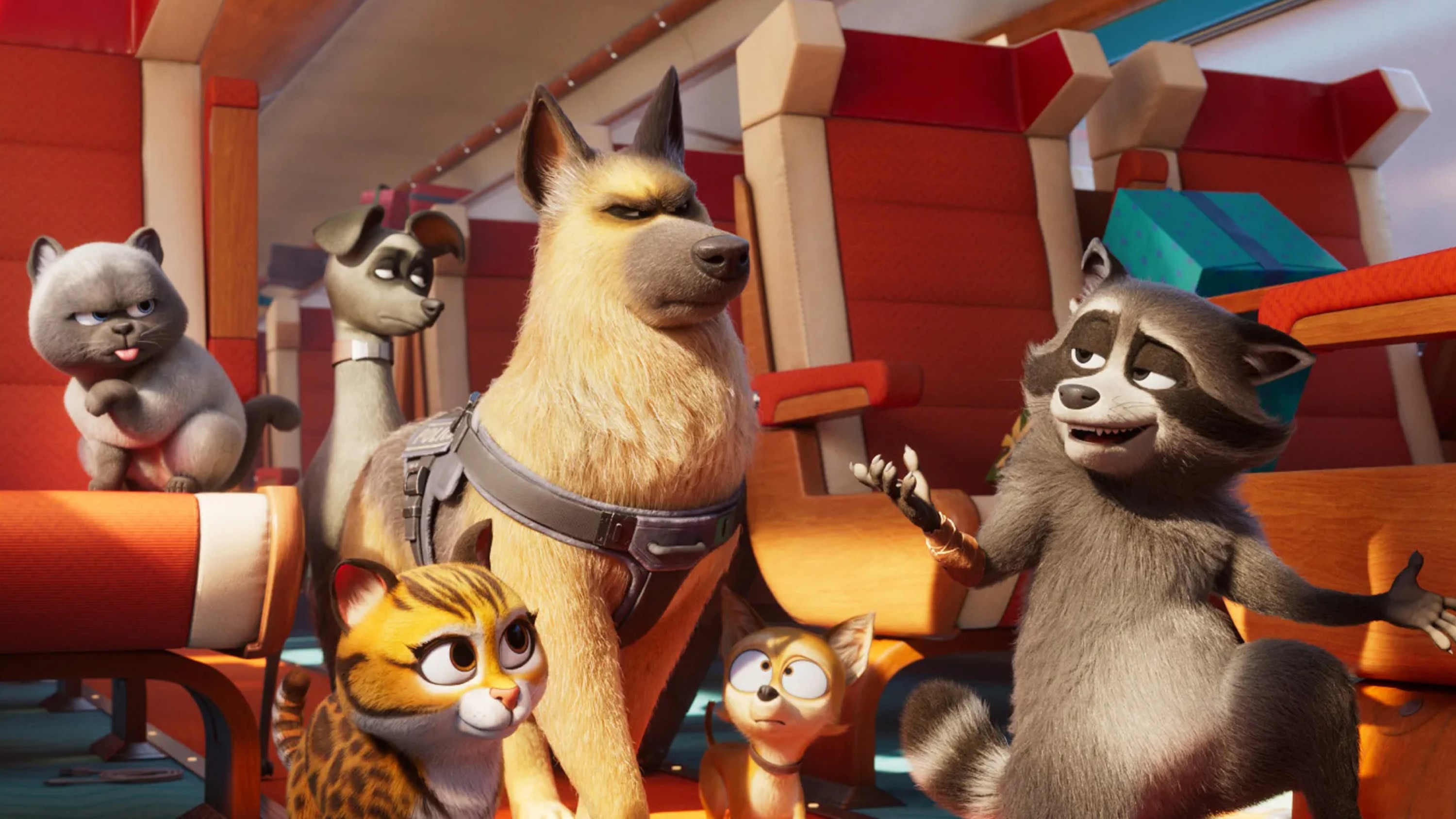 A film guide that looks at Pets on a Train (2025), exploring animals, teamw