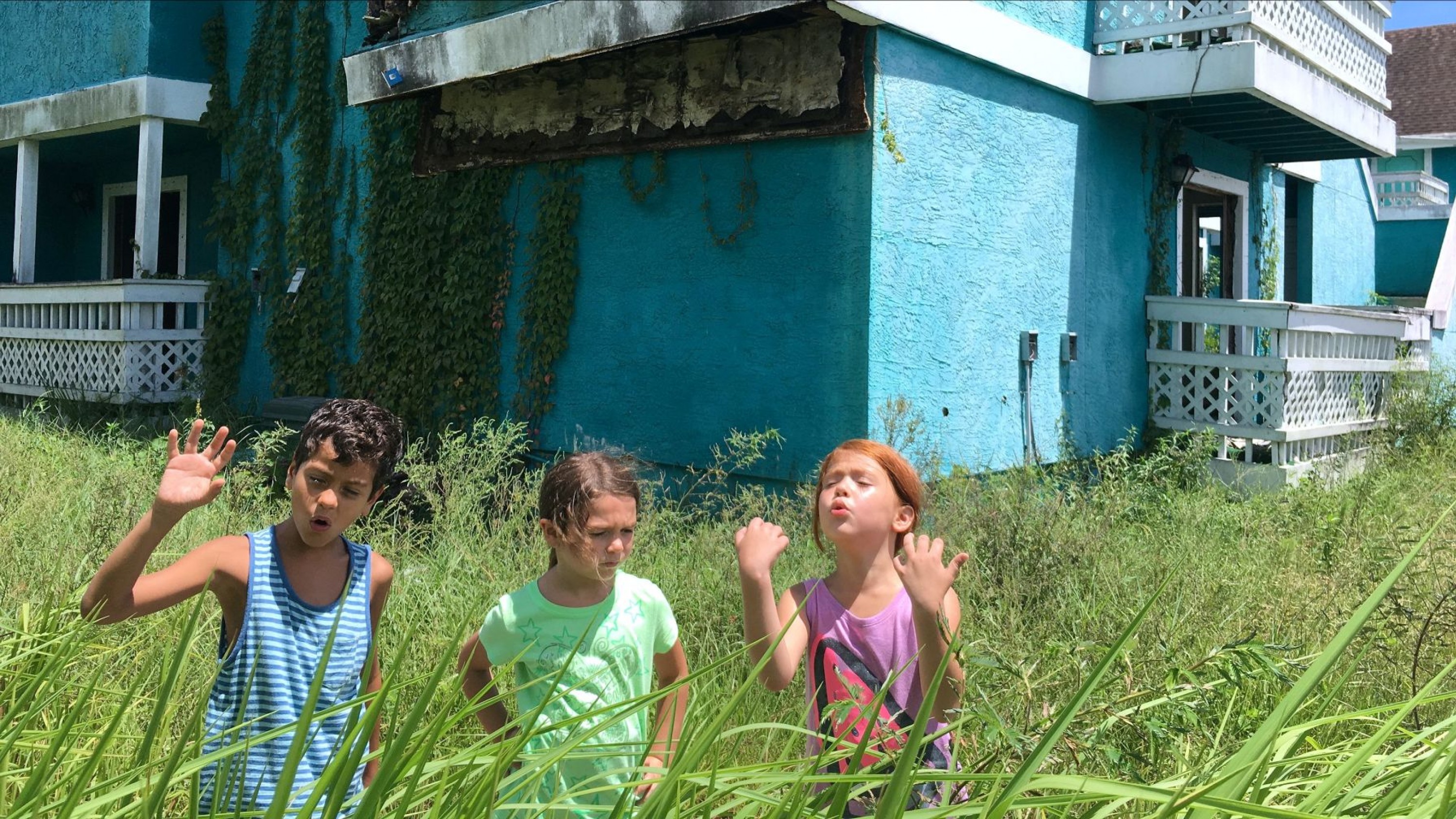 A film guide that uses 'The Florida Project' (2017) to discuss first-time a