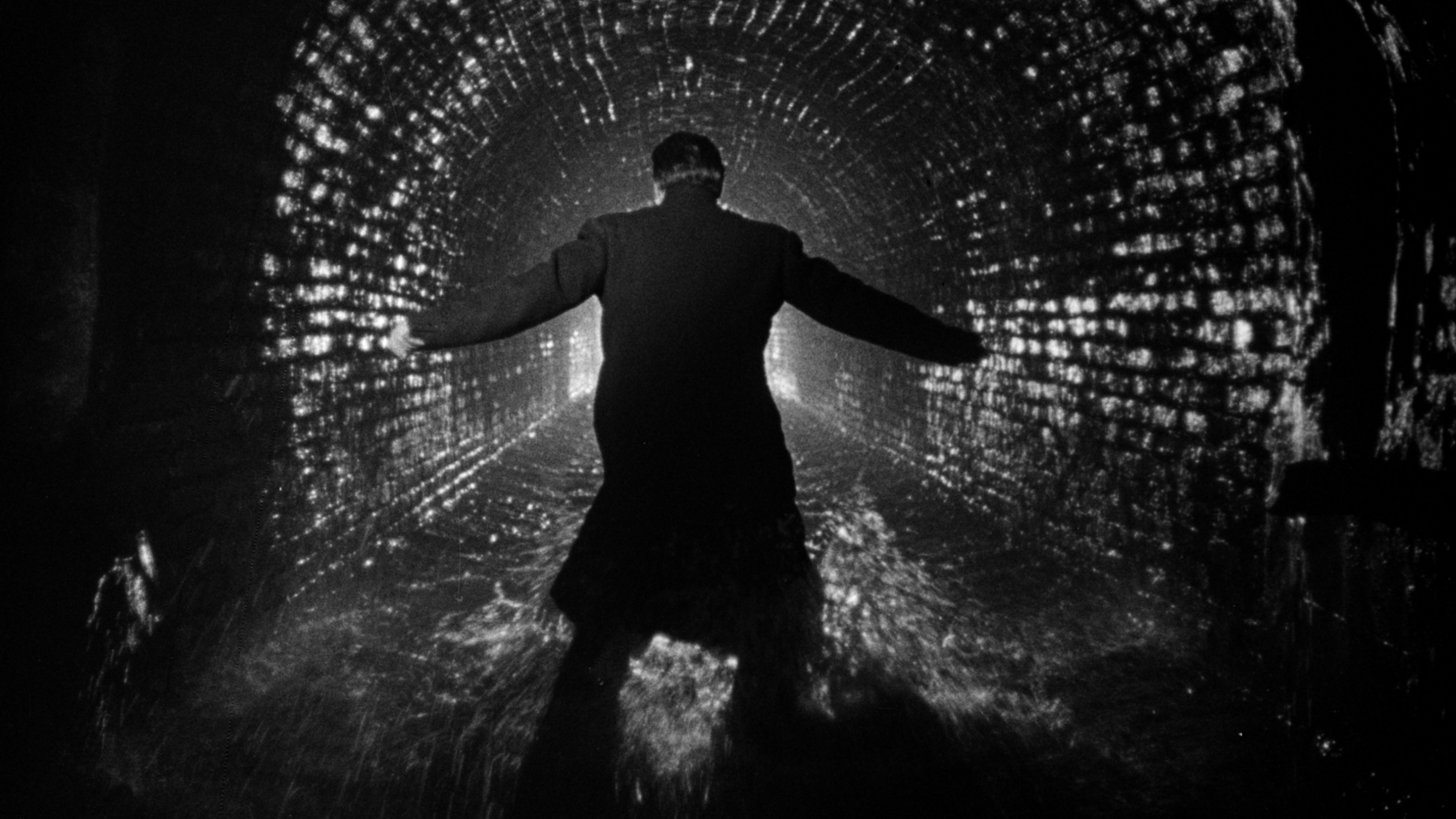 A film guide that looks at The Third Man (1949), exploring its key topics a