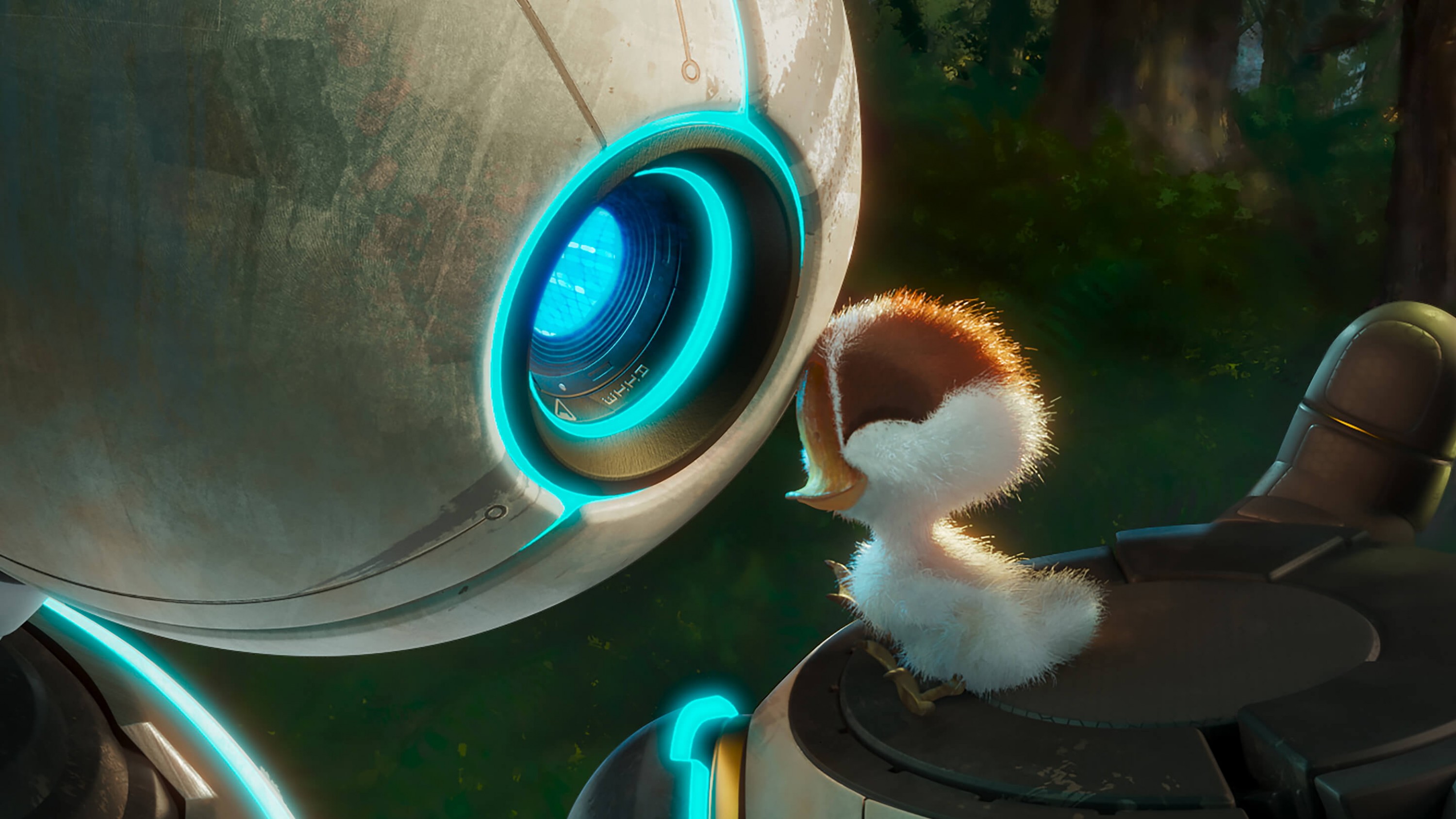 A film guide that looks at The Wild Robot (2024), exploring wildlife, anima