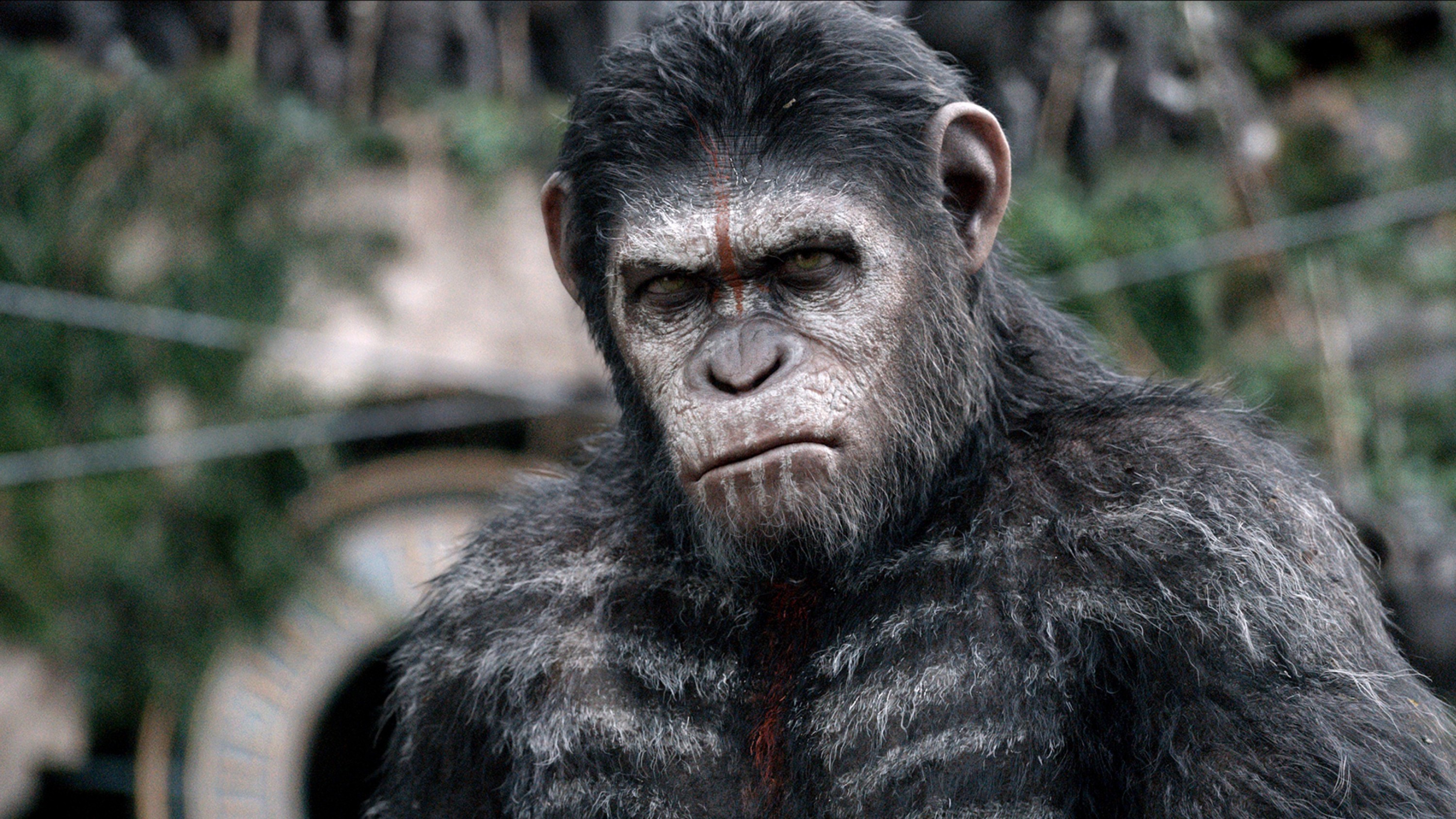 A film guide that looks at Dawn of the Planet of the Apes (2014), exploring