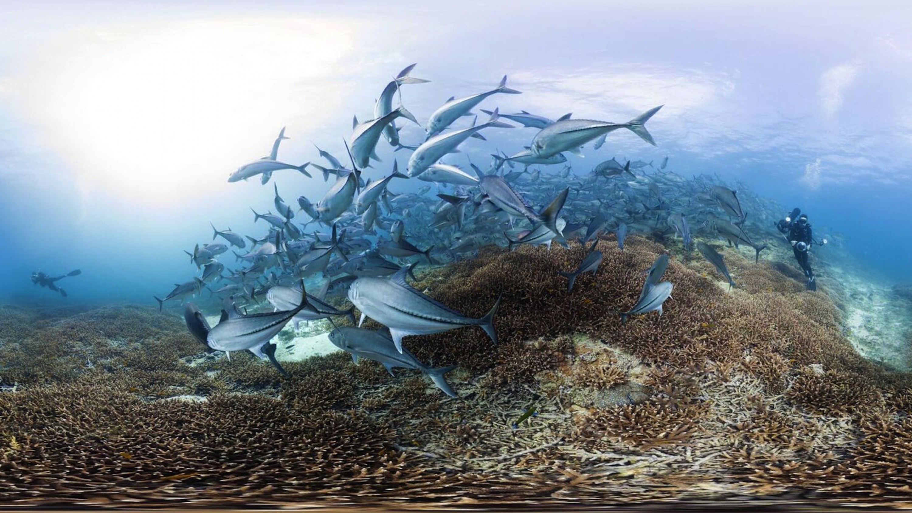 Activities to support engagement, debate and reflection alongside a screeni