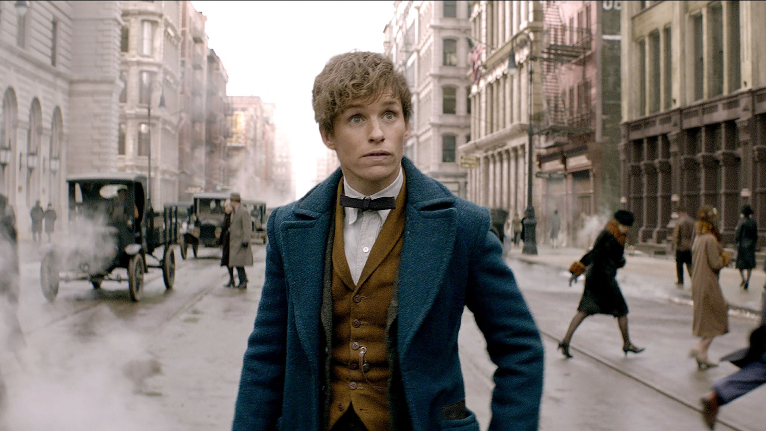 A film guide that looks at Fantastic Beasts and Where to Find Them (2016), 