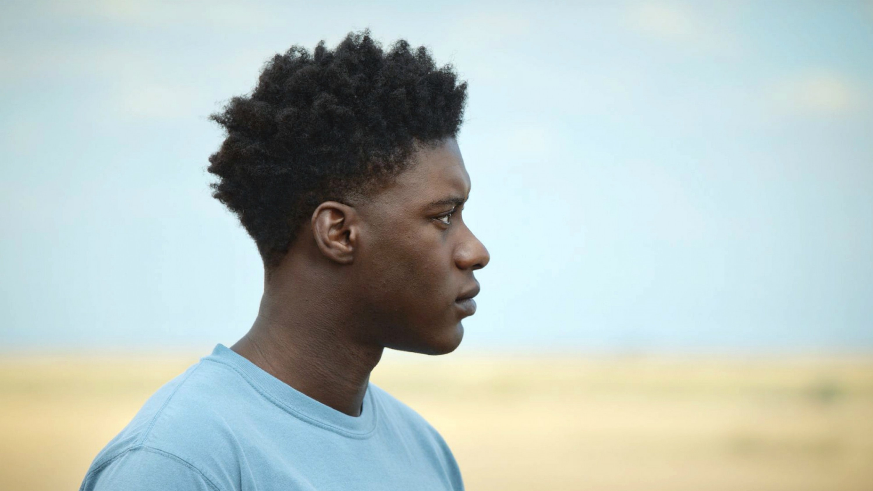 A film guide that looks at The Last Tree (2019), exploring its key topics a